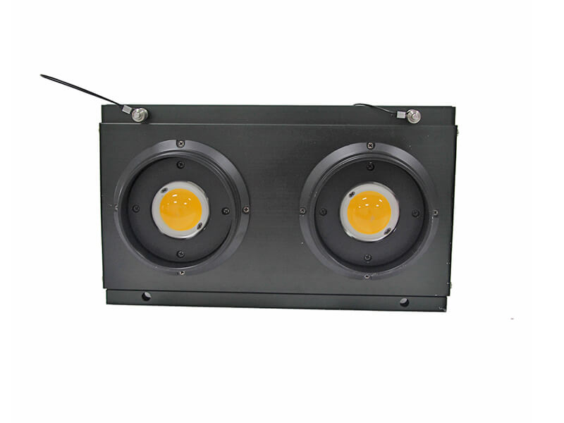 连接一对一式2眼户外LED观众盲灯