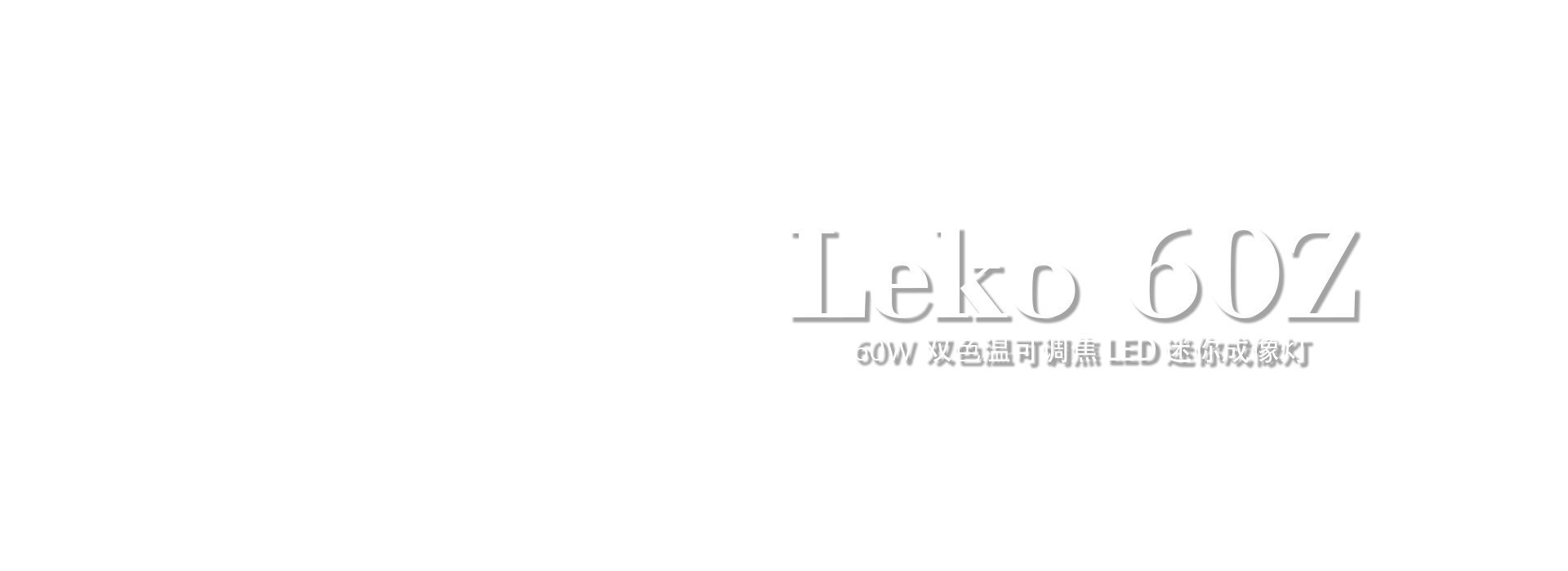 中文