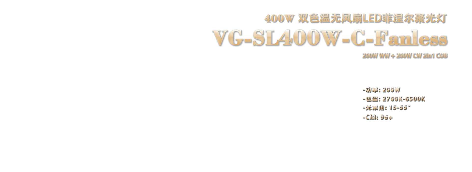中文